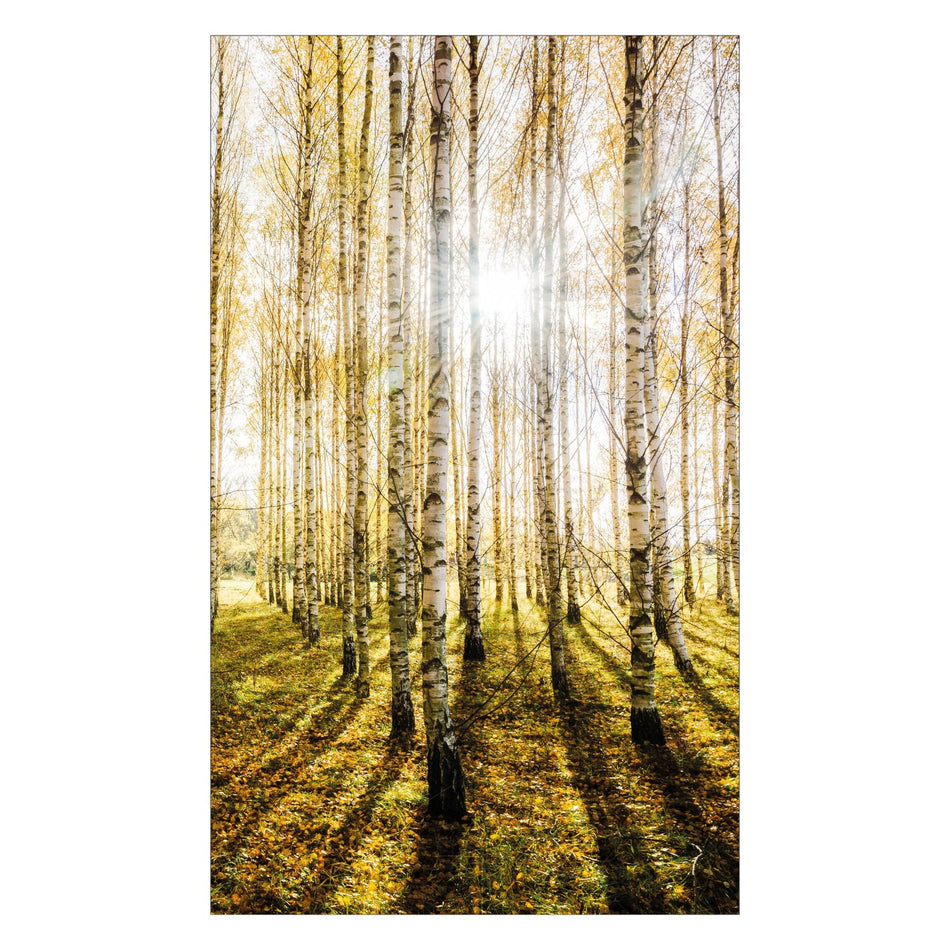 Duschrückwand nach maß