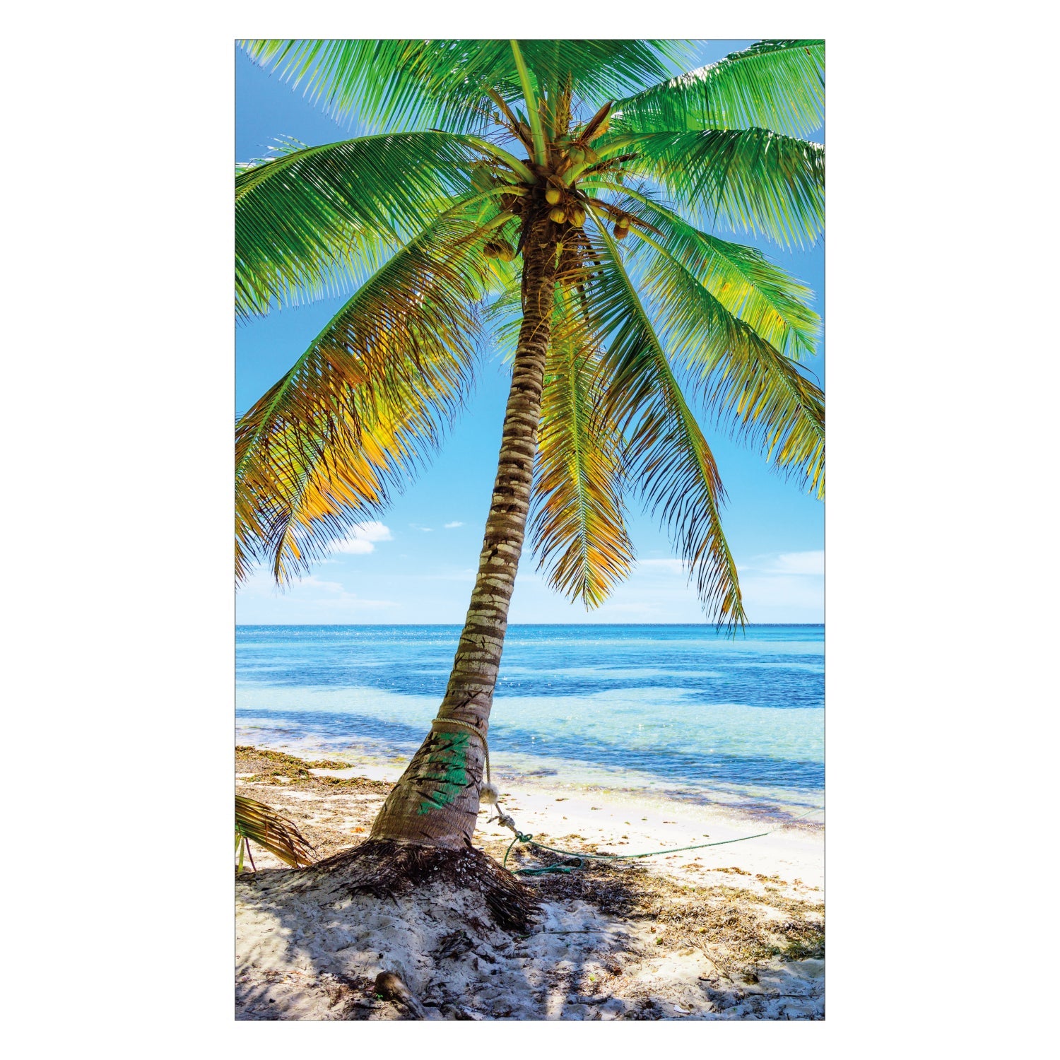 Duschrückwand nach maß