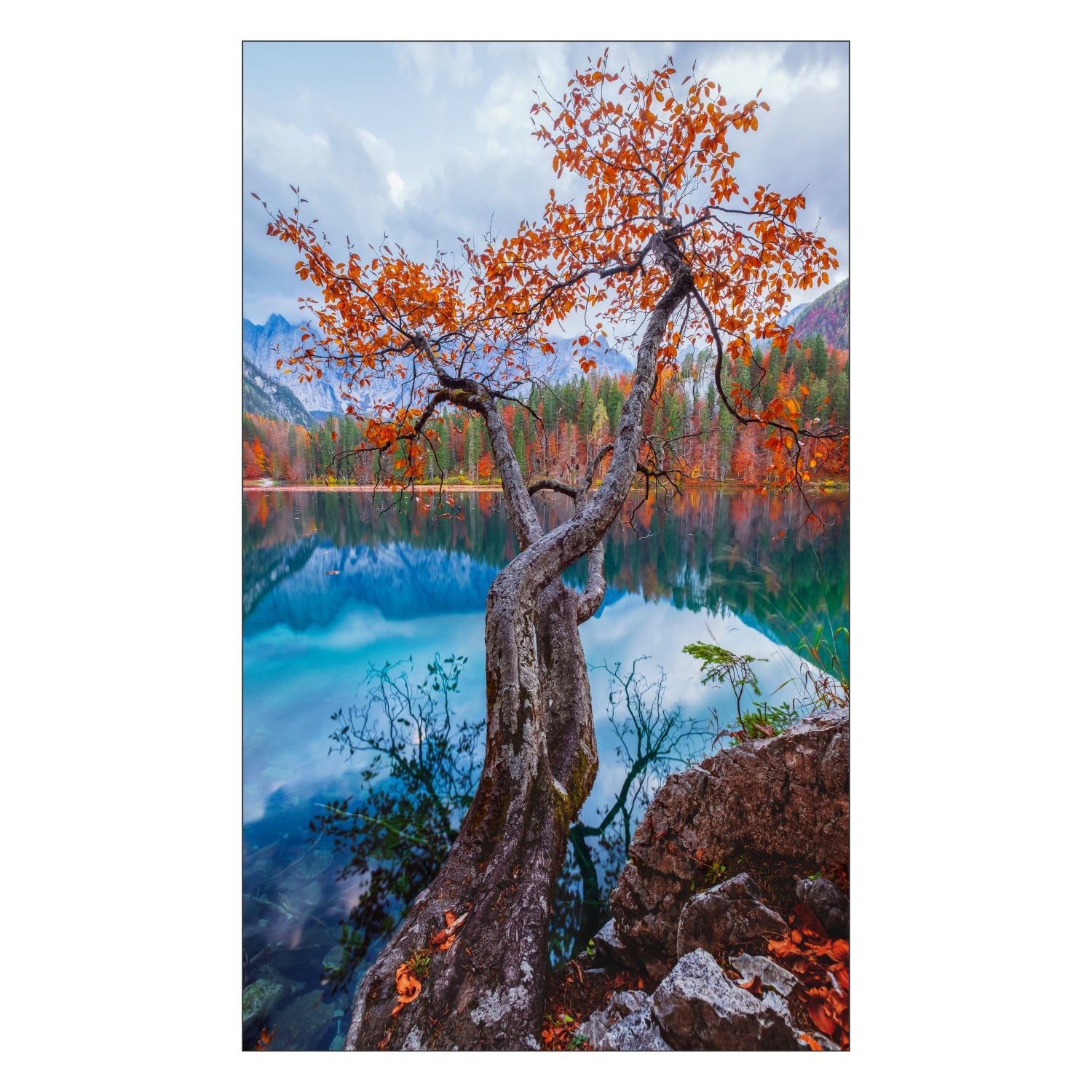 Duschrückwand nach maß