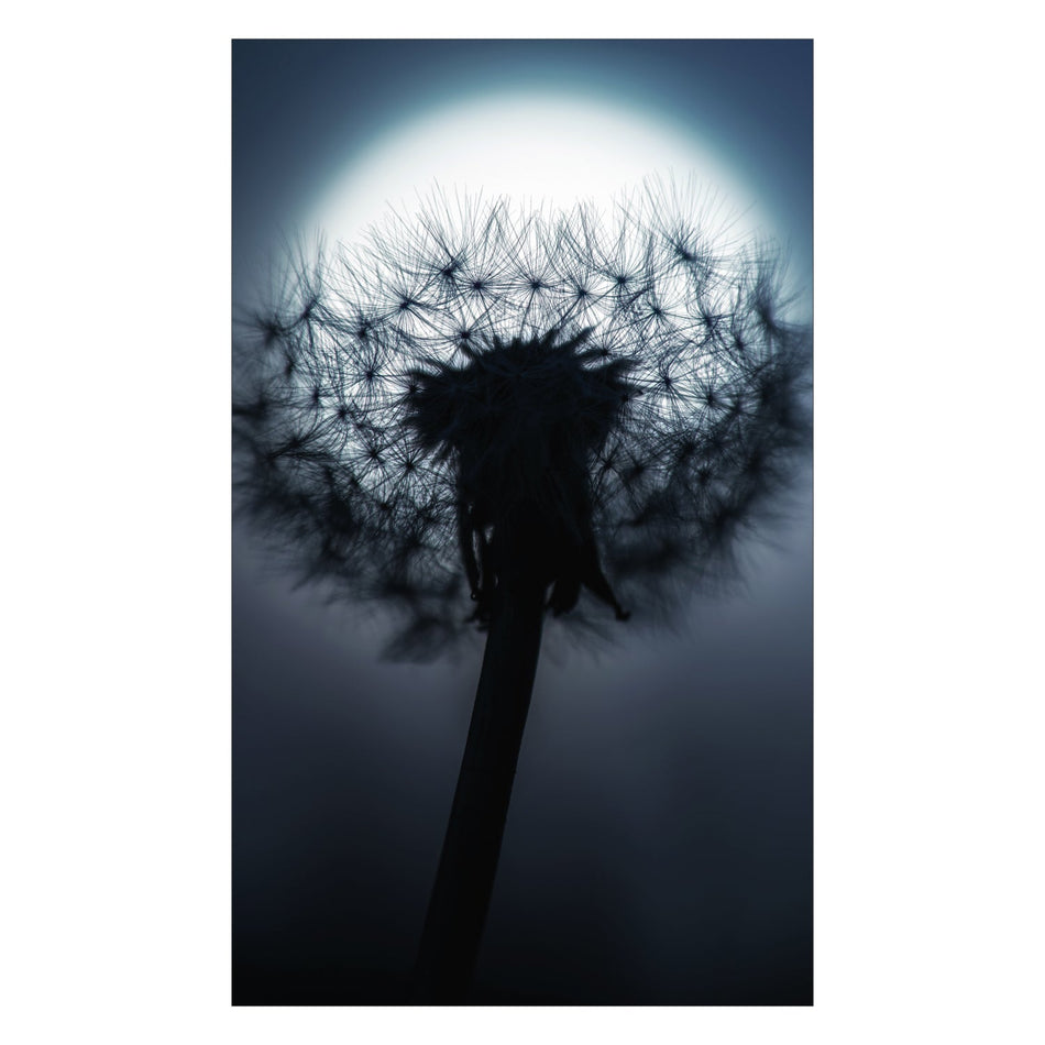 Duschrückwand nach maß