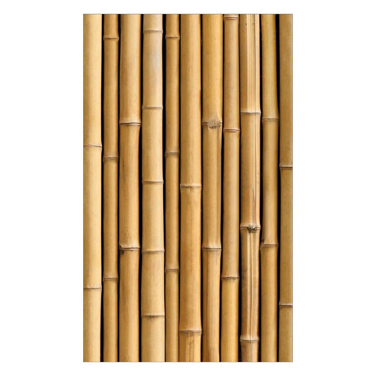 Duschrückwand nach maß