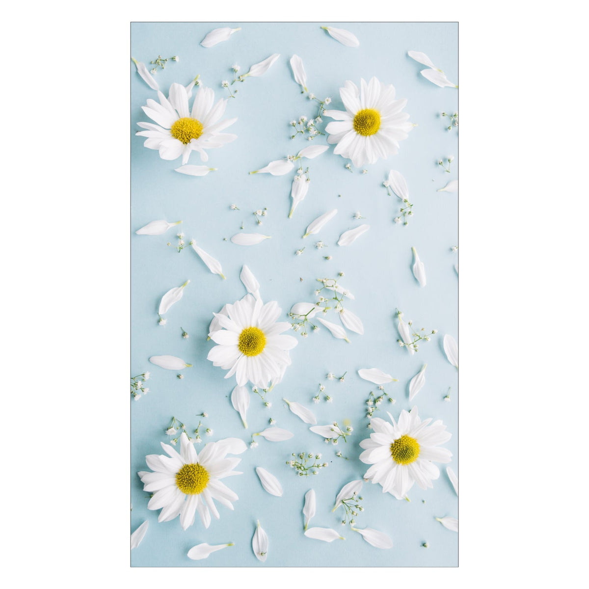 Duschrückwand nach maß