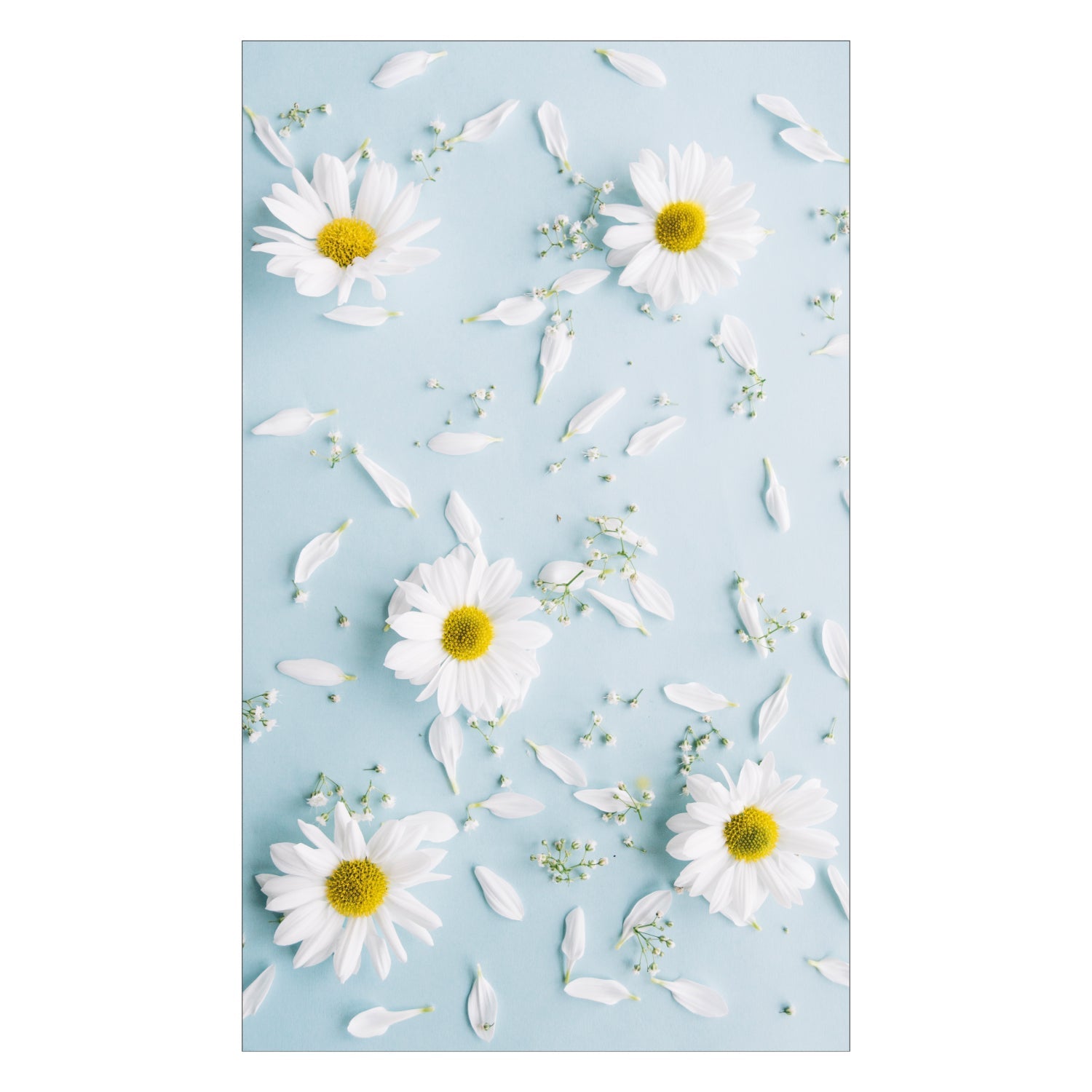 Duschrückwand nach maß