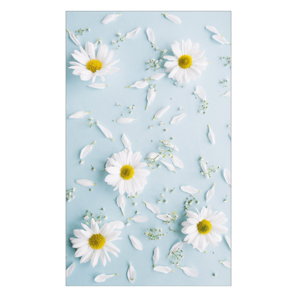 Duschrückwand nach maß