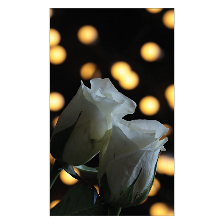 Duschrückwand nach maß