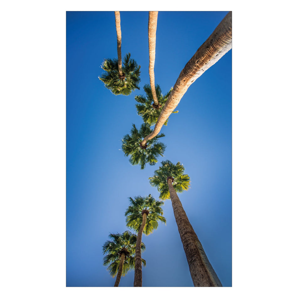 Duschrückwand nach maß