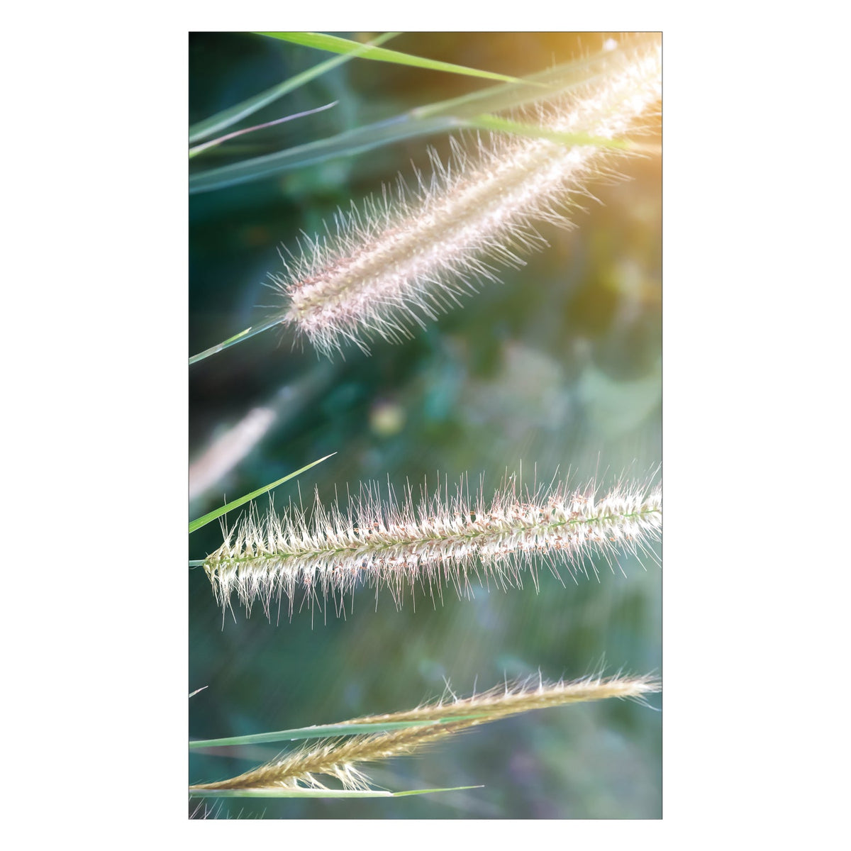 Duschrückwand nach maß