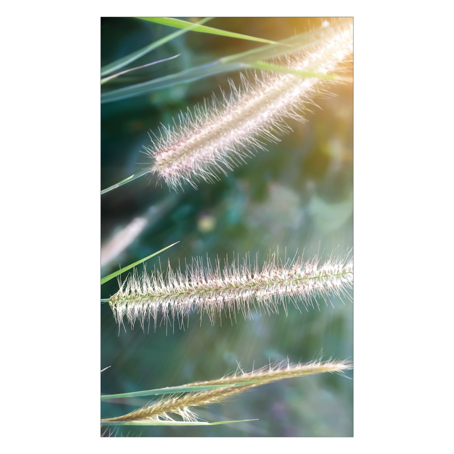 Duschrückwand nach maß