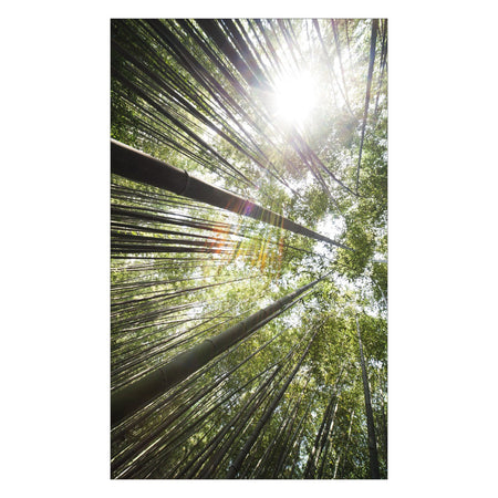 Duschrückwand nach maß