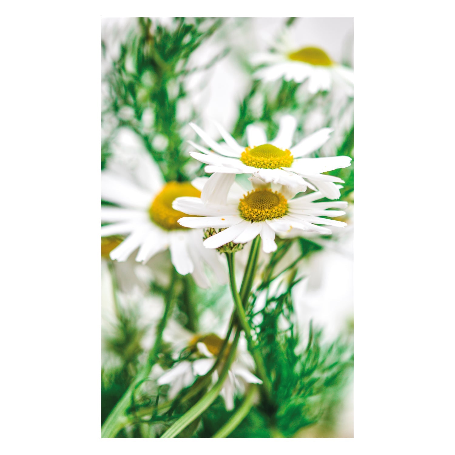 Duschrückwand nach maß