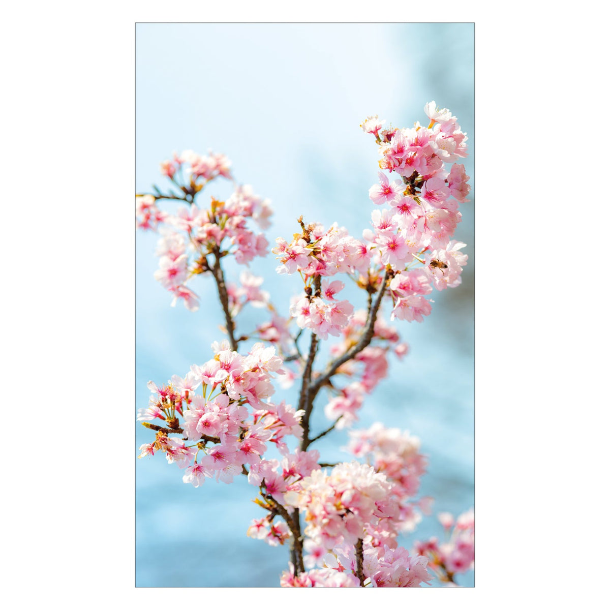 Duschrückwand nach maß