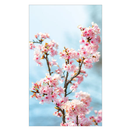 Duschrückwand nach maß