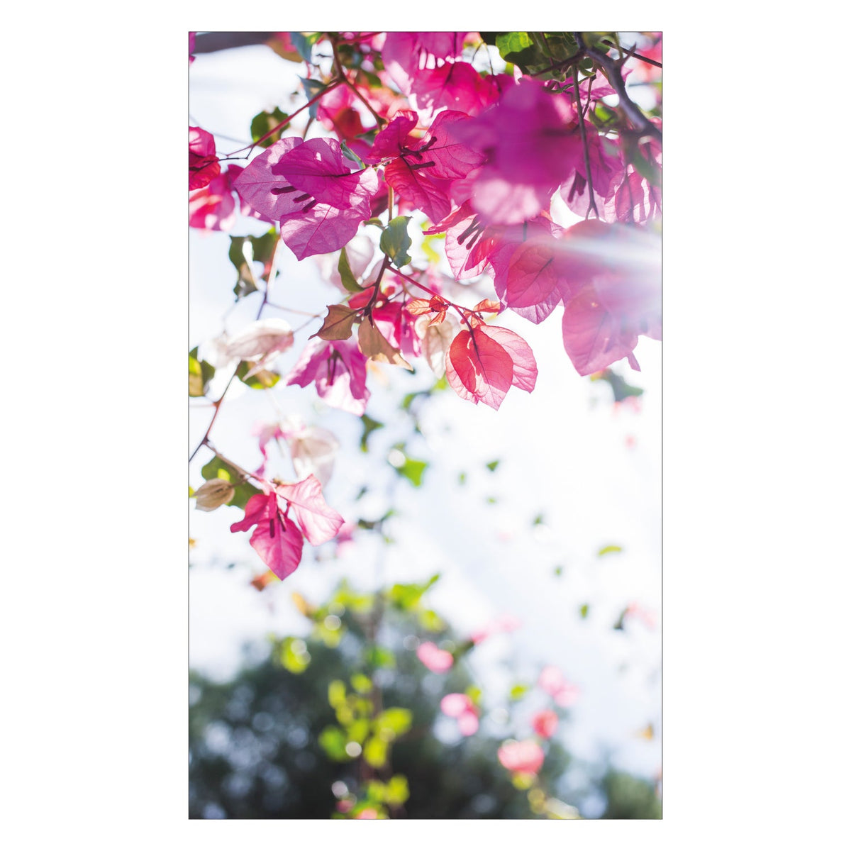 Duschrückwand nach maß