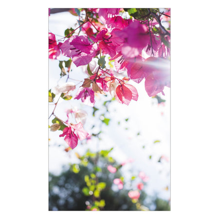 Duschrückwand nach maß