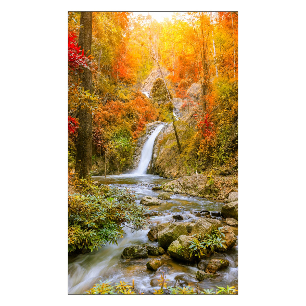 Duschrückwand nach maß