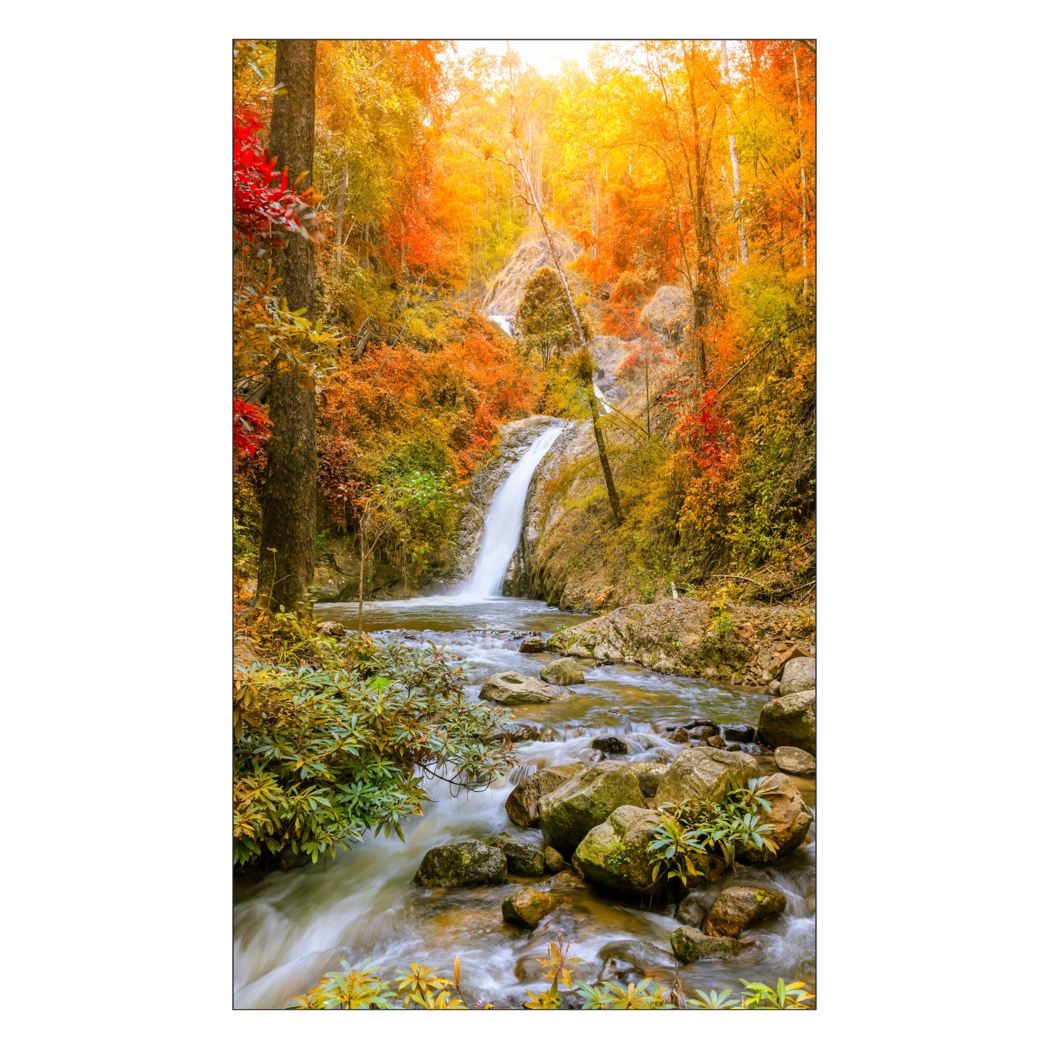 Duschrückwand nach maß