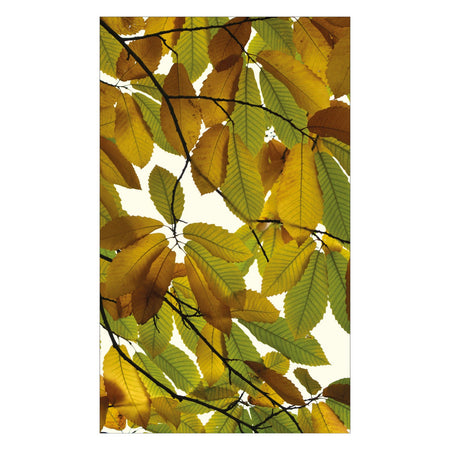 Duschrückwand nach maß