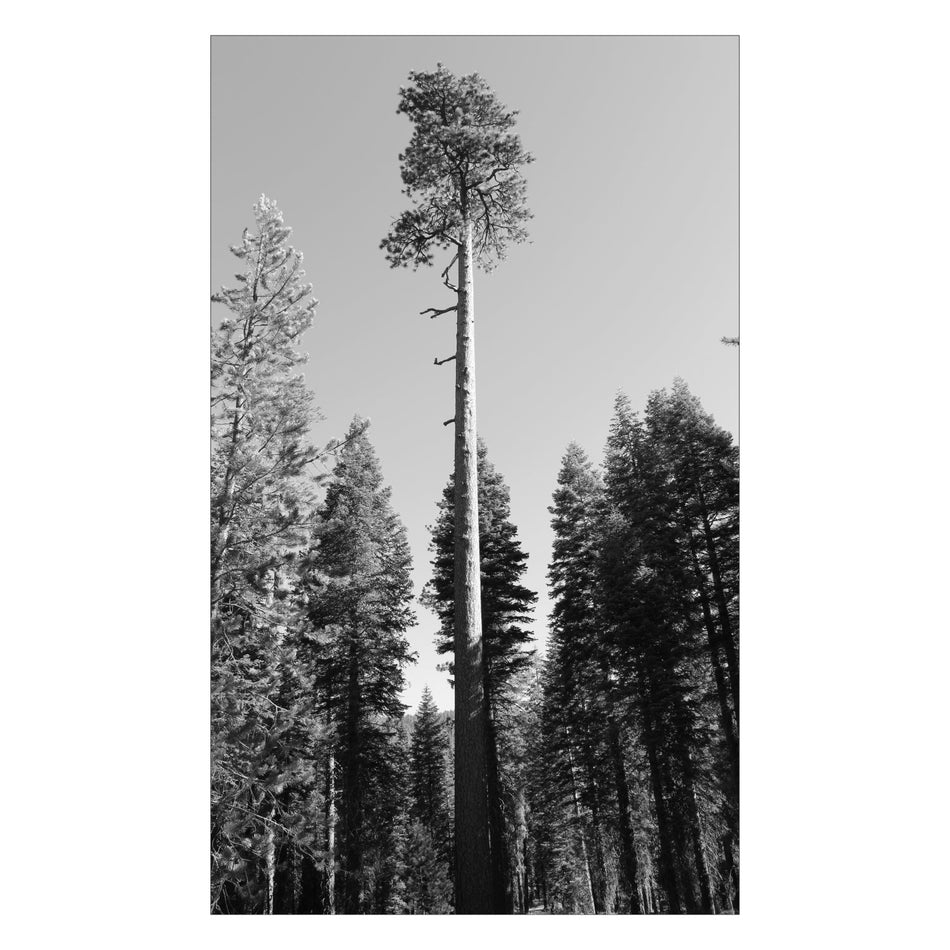 Duschrückwand nach maß