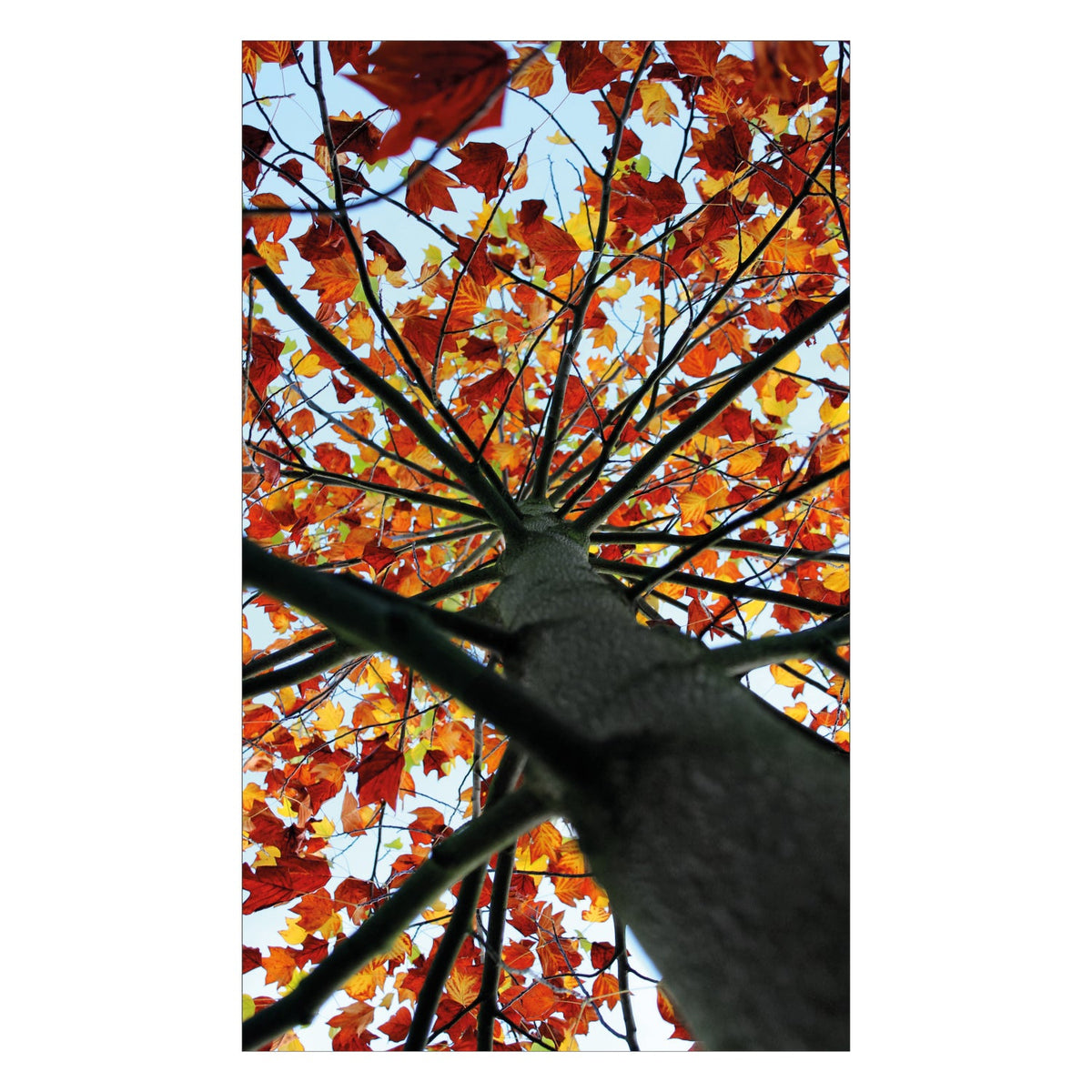 Duschrückwand nach maß