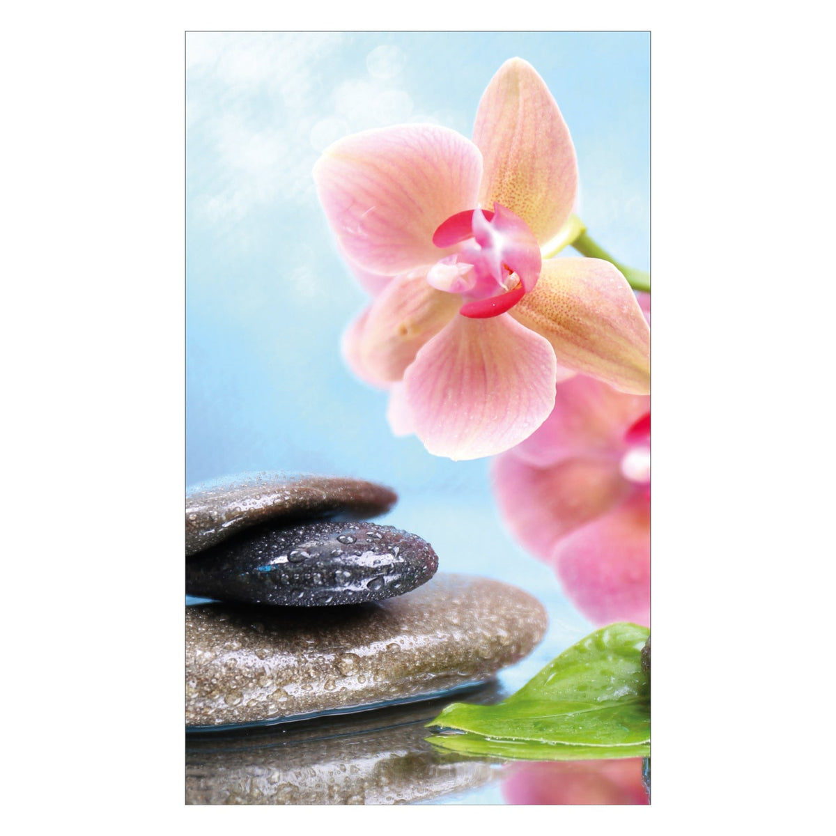 Duschrückwand nach maß