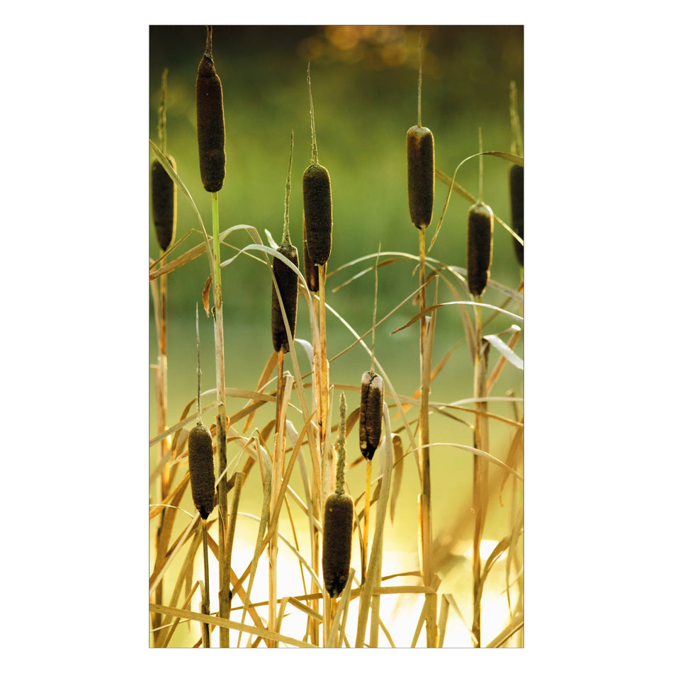 Duschrückwand nach maß