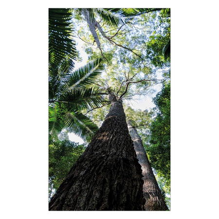 Duschrückwand nach maß