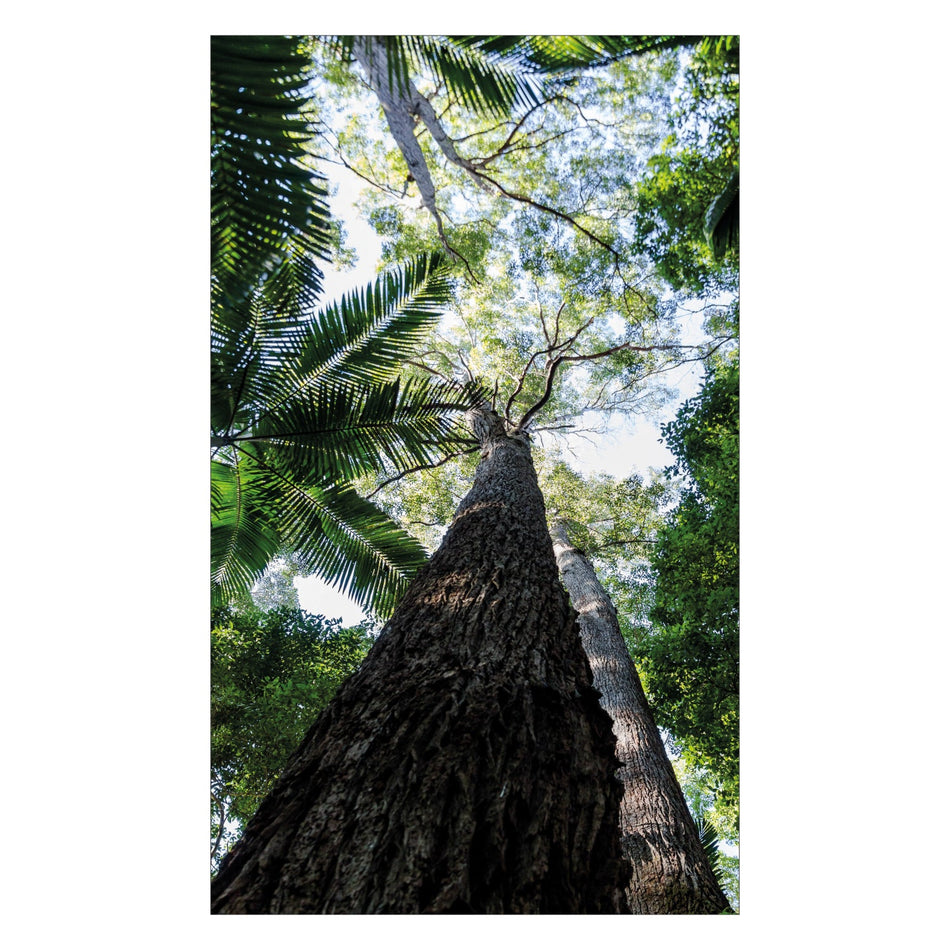 Duschrückwand nach maß