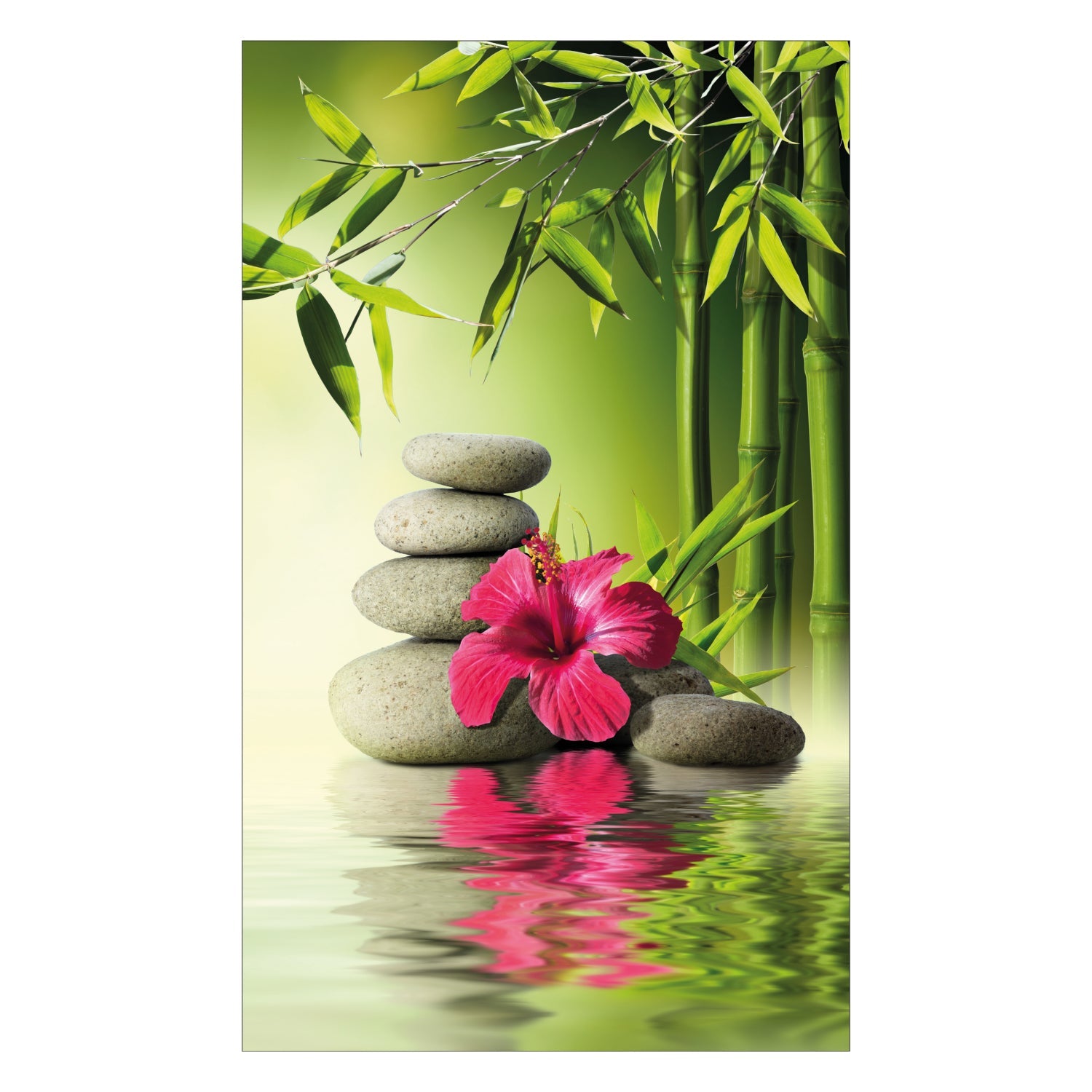 Duschrückwand nach maß