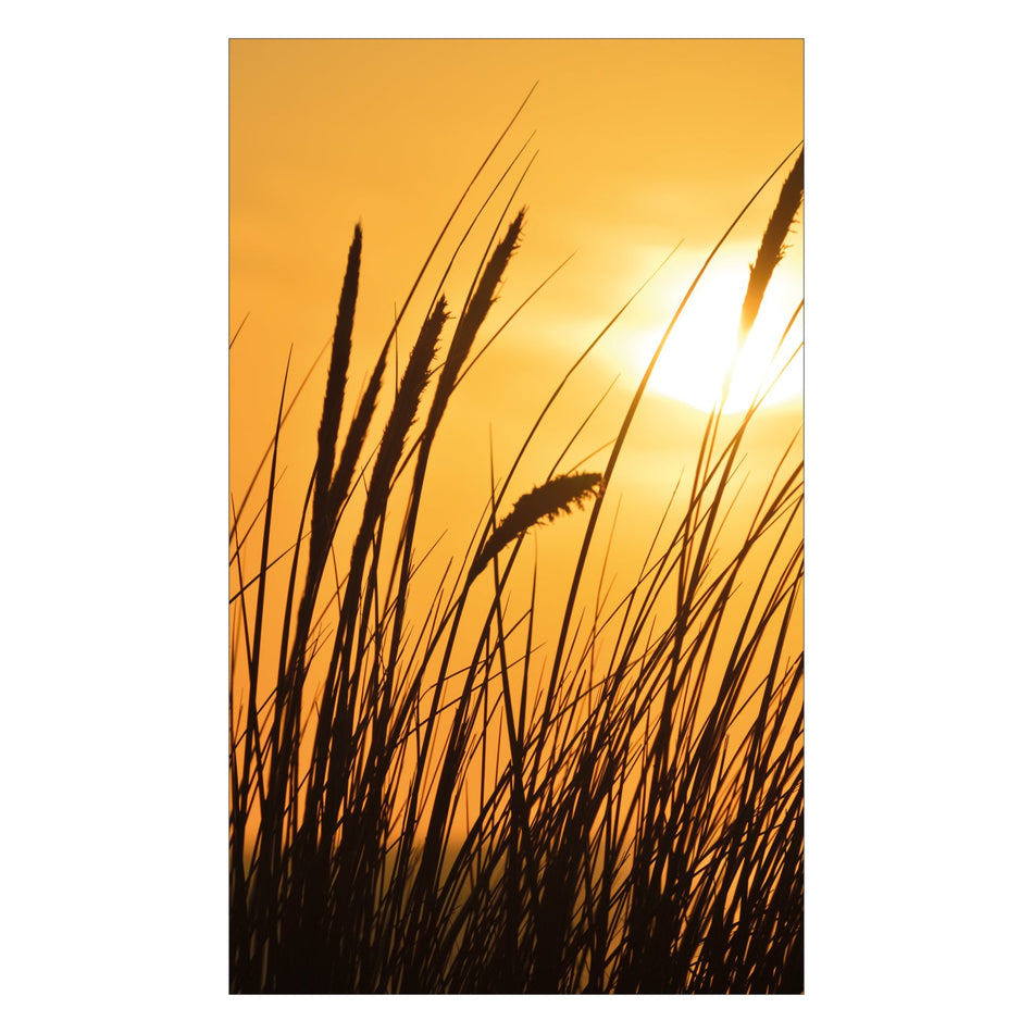 Duschrückwand nach maß