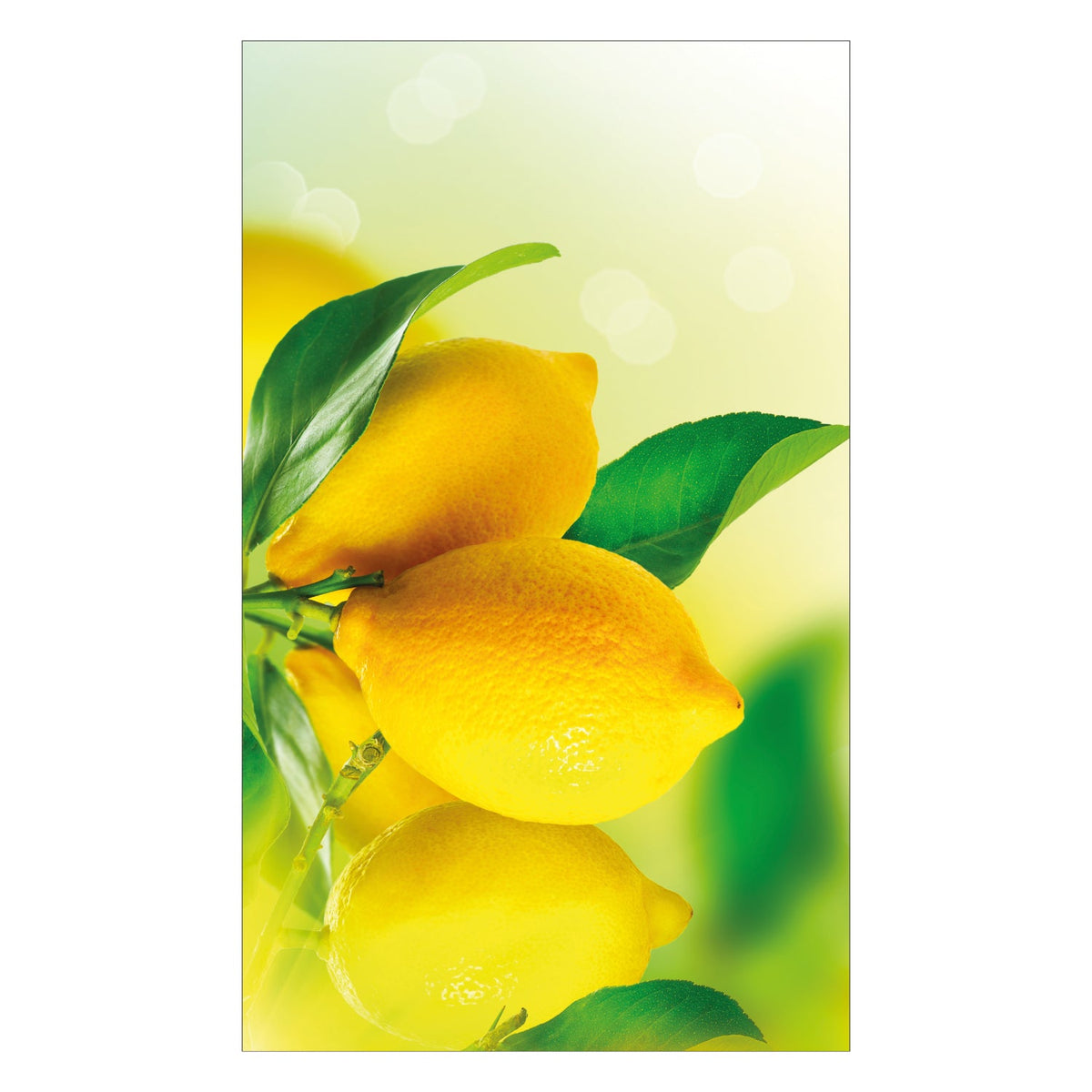 Duschrückwand nach maß