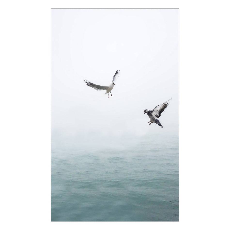 Duschrückwand nach maß