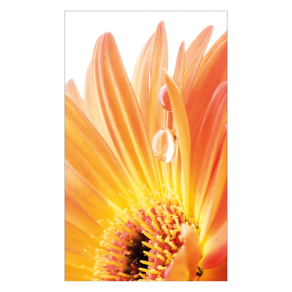 Duschrückwand nach maß