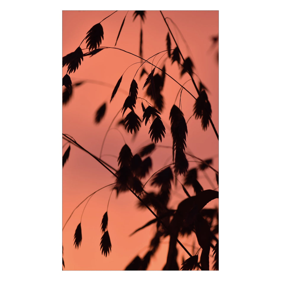 Duschrückwand nach maß