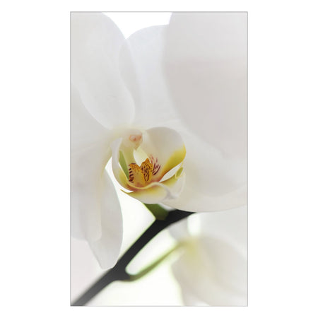 Duschrückwand nach maß