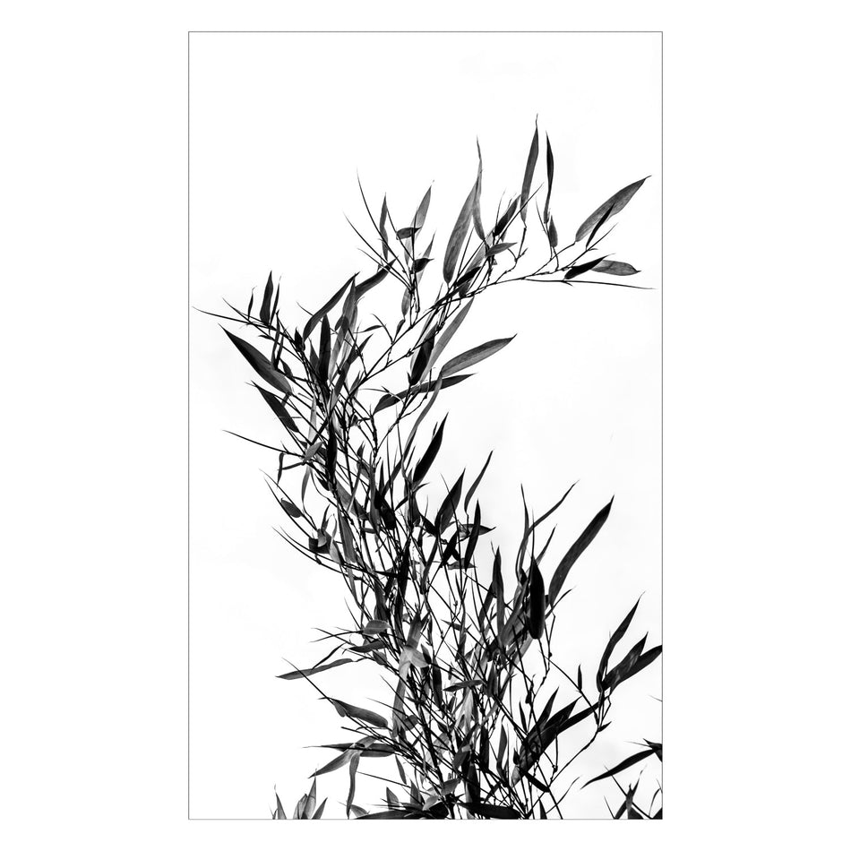 Duschrückwand nach maß