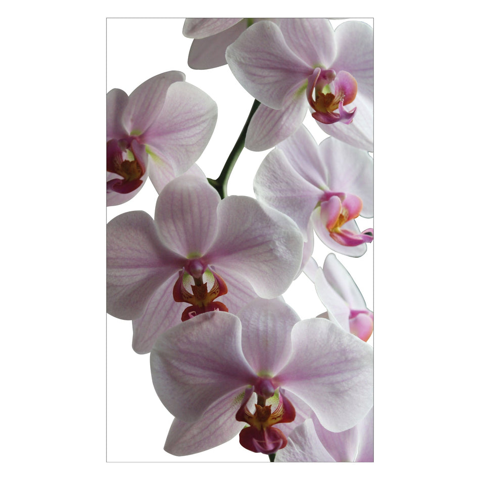 Duschrückwand nach maß