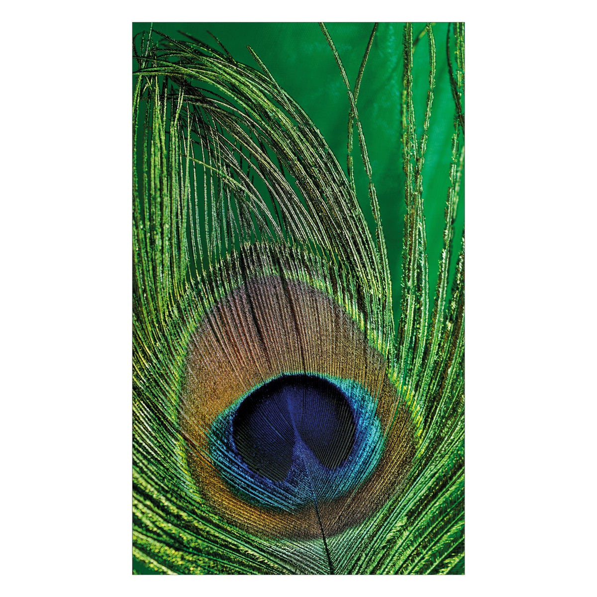 Duschrückwand nach maß