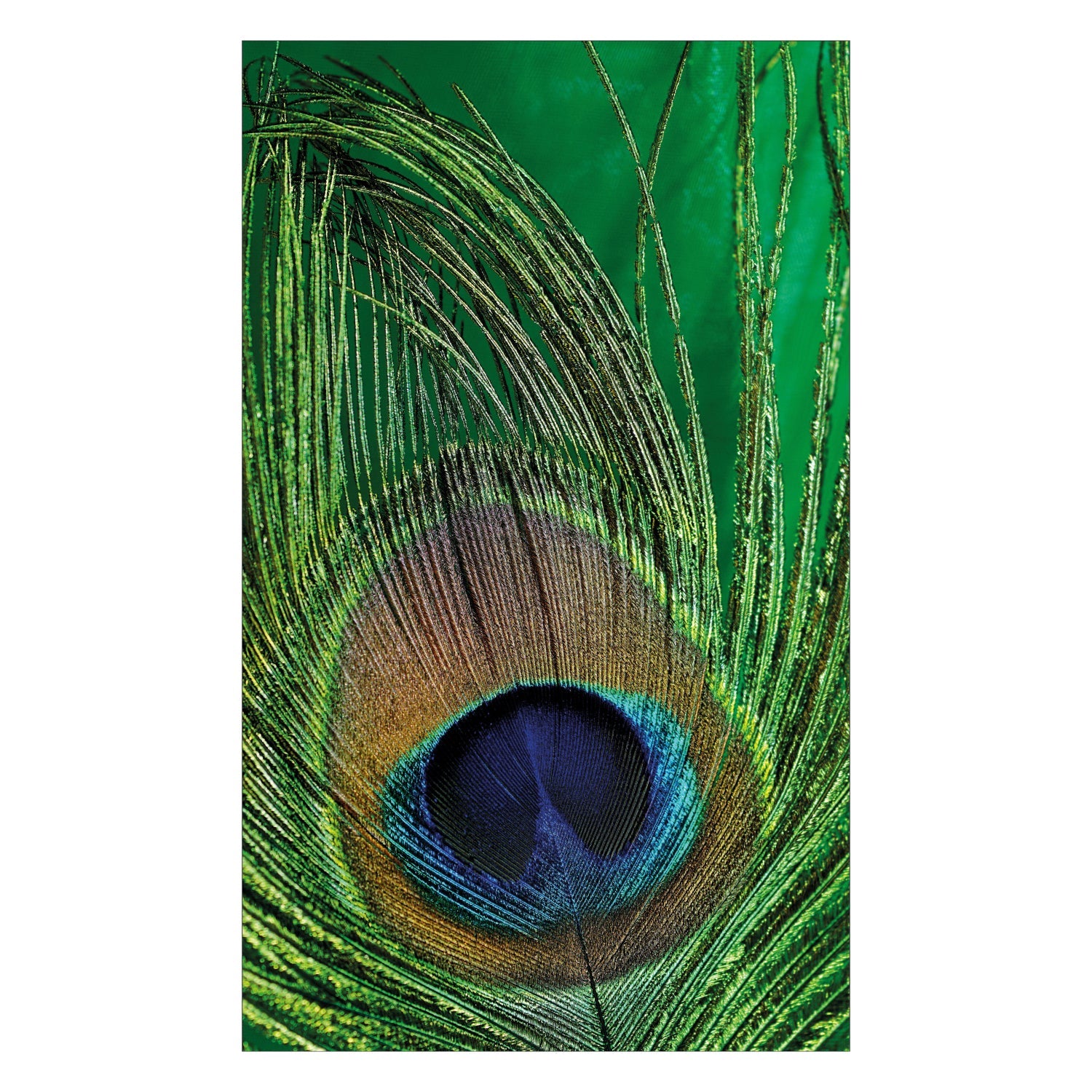 Duschrückwand nach maß