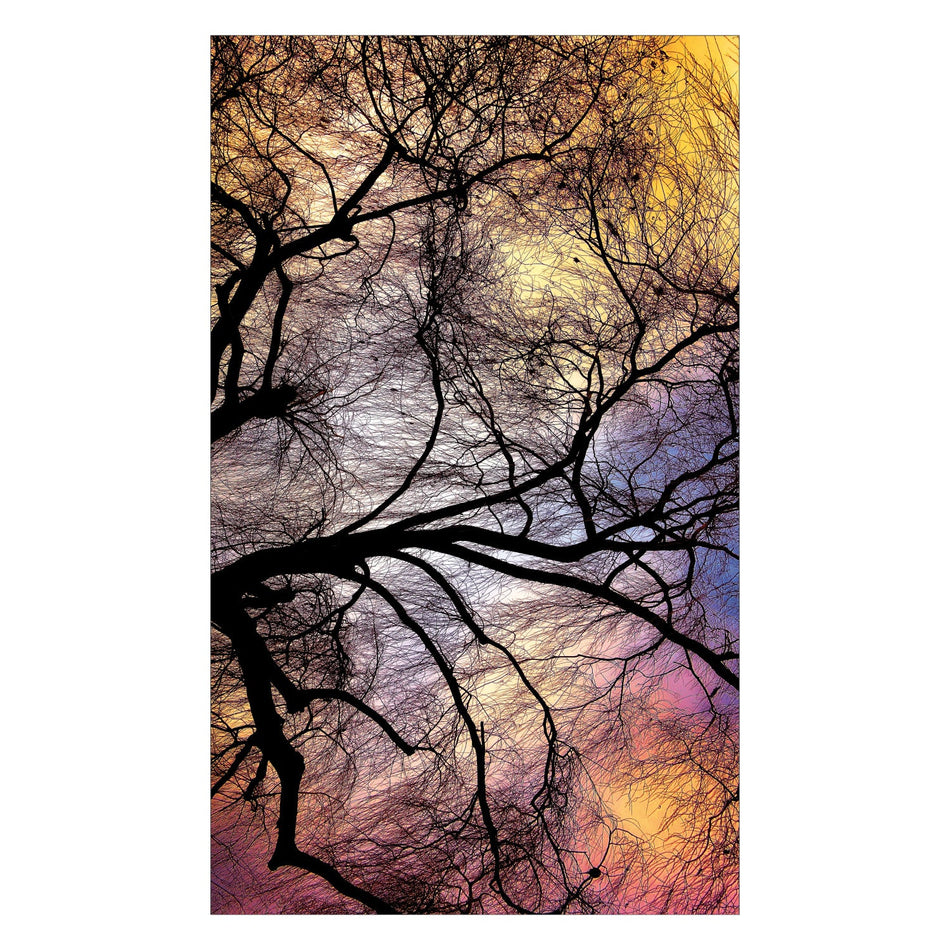 Duschrückwand nach maß