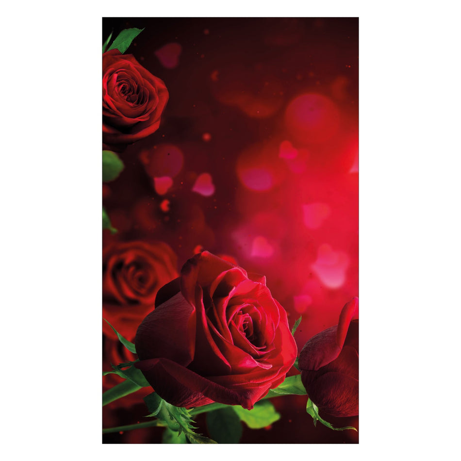 Duschrückwand nach maß