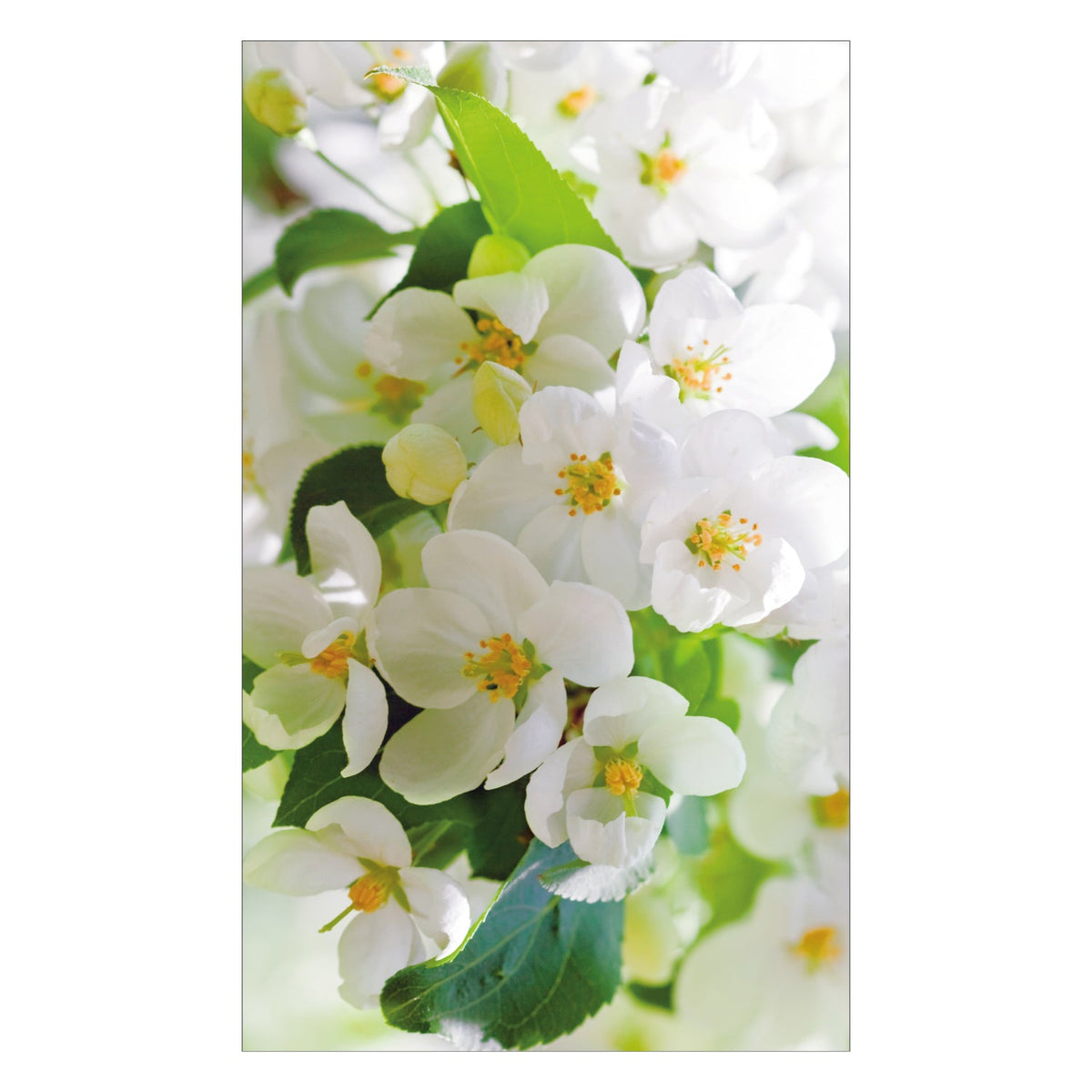 Duschrückwand nach maß