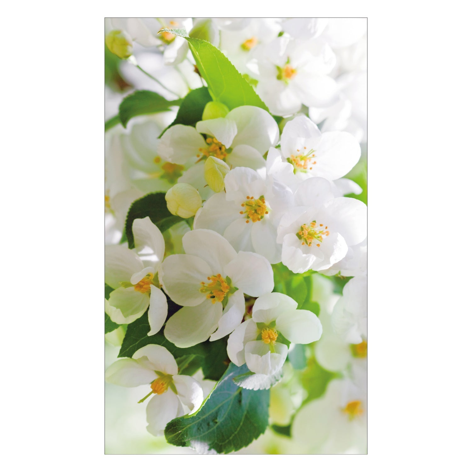 Duschrückwand nach maß