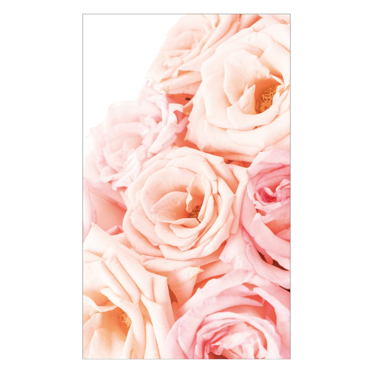 Duschrückwand nach maß