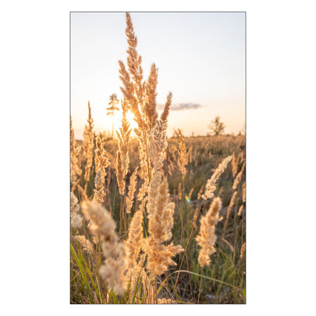 Toilettenrückwand nach maß