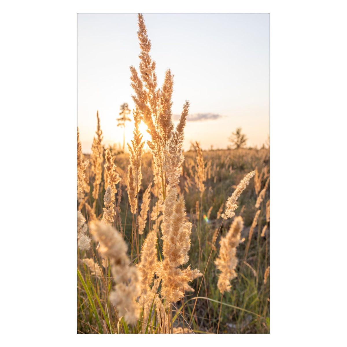 Duschrückwand nach maß