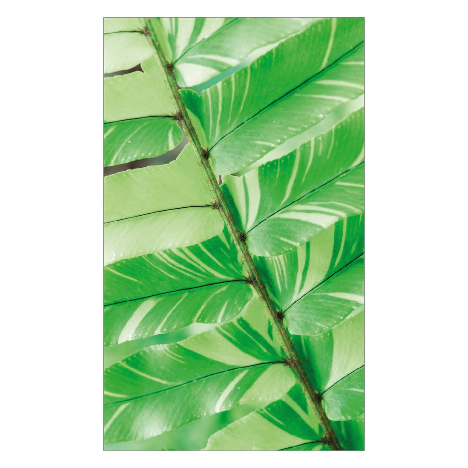 Duschrückwand nach maß