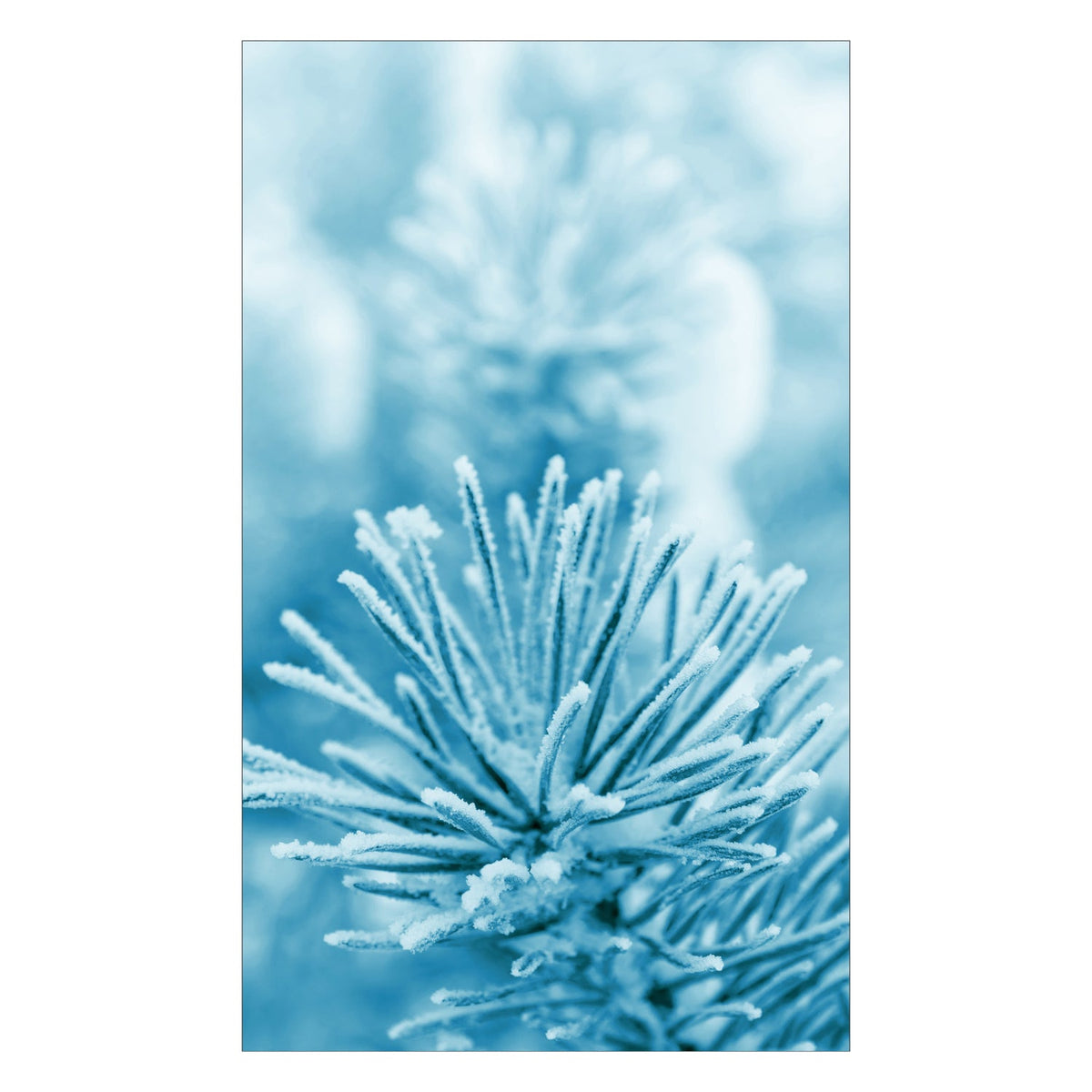 Duschrückwand nach maß