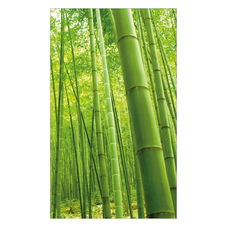 Duschrückwand nach maß