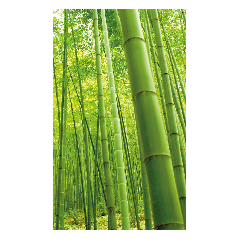 Duschrückwand nach maß