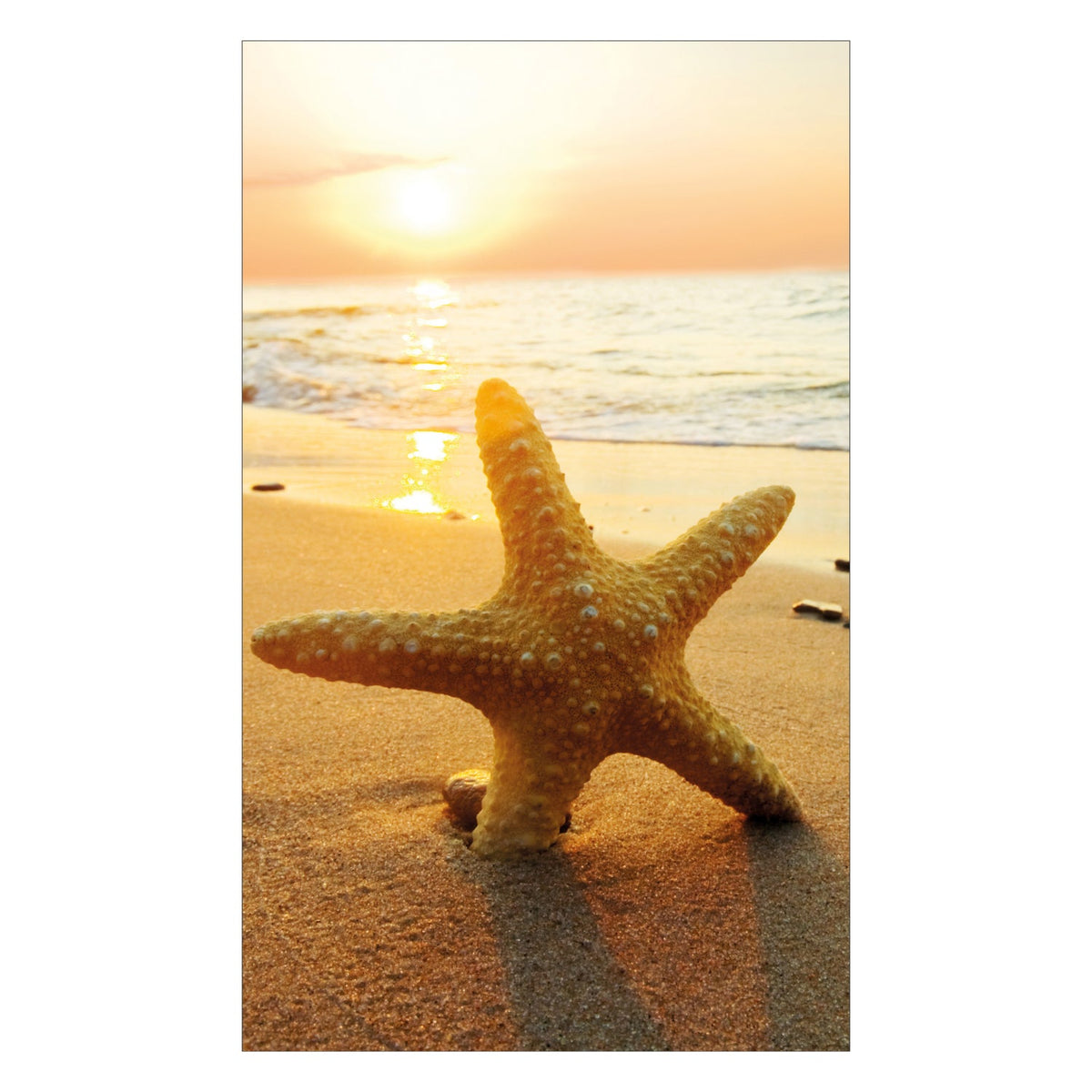 Duschrückwand nach maß